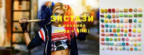 ECSTASY Богородицк